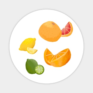 Citrus Fruits Magnet